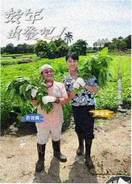 声音博物馆免费视频在线观看